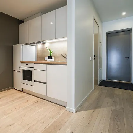 Elegant Flat Heart Of - Family Of 3 People Reval